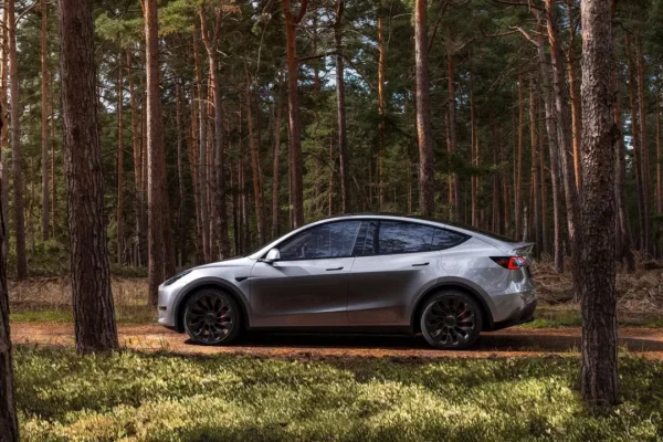 Model Y stands out for range, performance, and Tesla technology.